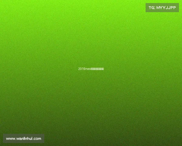 2019nest全国电子竞技大赛