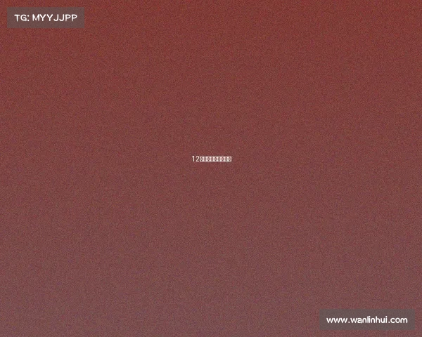 12月份厦门电竞类比赛