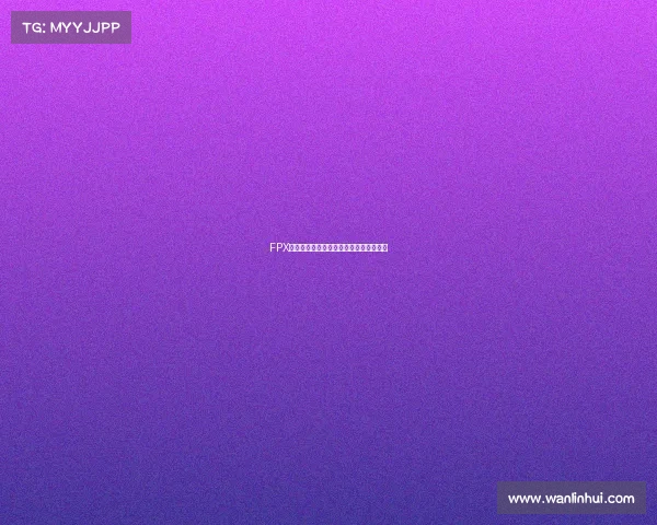 FPX全新阵容正式公布，群英集结开启新征程