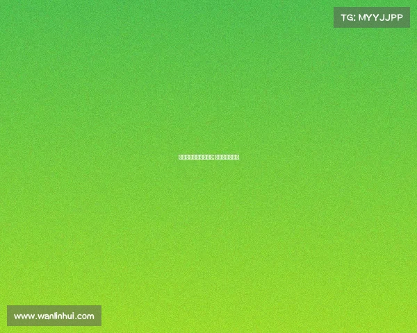 公路车电子竞技赛装备;比赛专用公路车