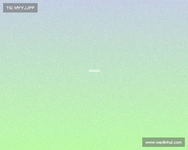 电子竞技无国界